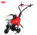 Motobineuse à essence PUBERT Terro 55h 163 cm³
