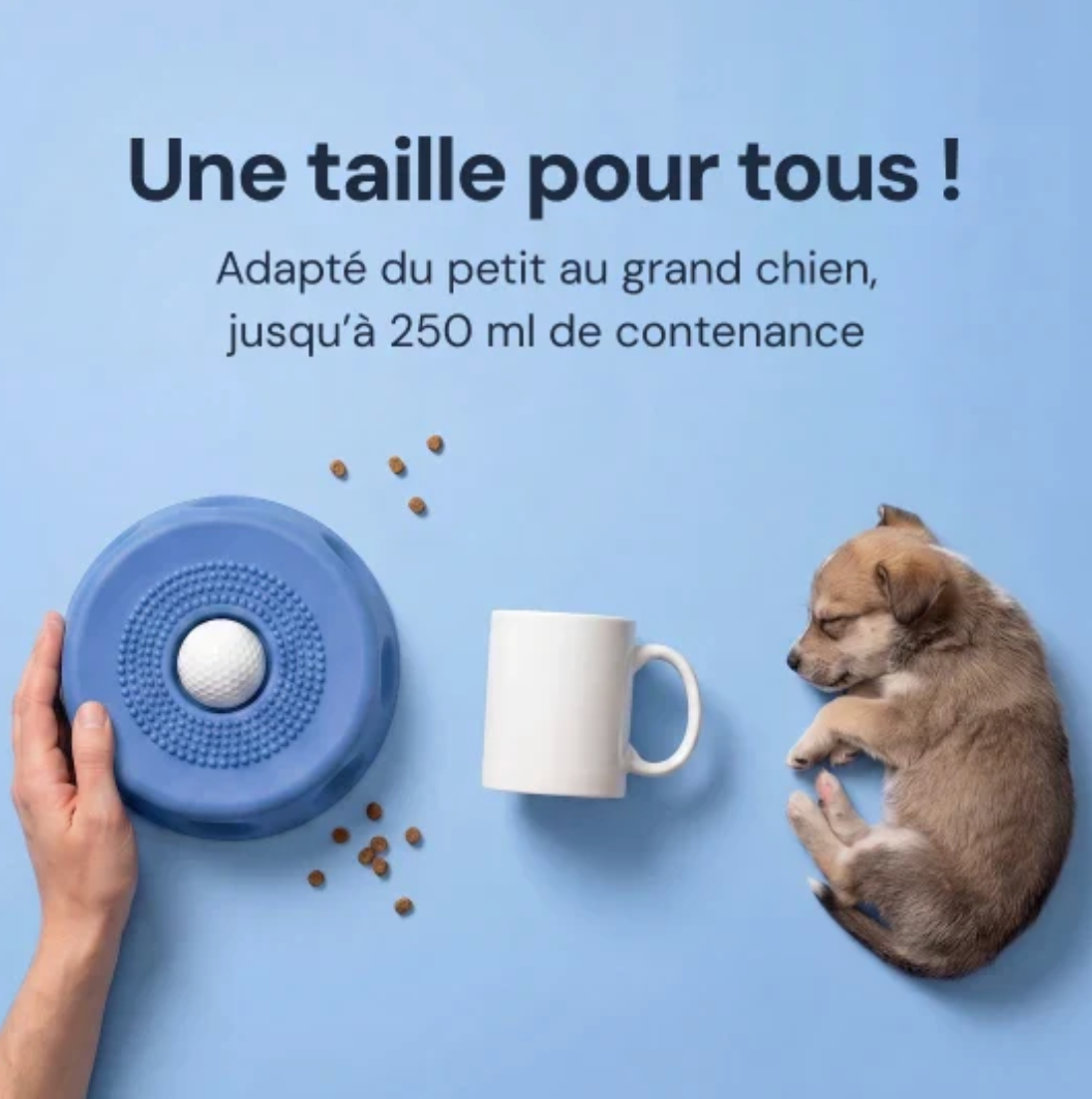 Slowli - La gamelle qui calme ton chien