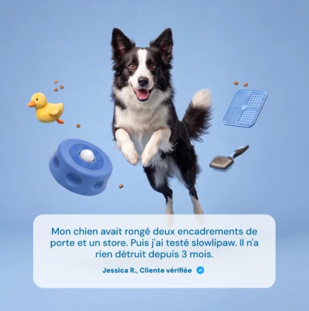 Slowli - La gamelle qui calme ton chien